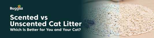 Scented vs Unscented Cat Litter: Which Is Better for You and Your Cat?
