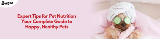 expert tips for pet nutrition