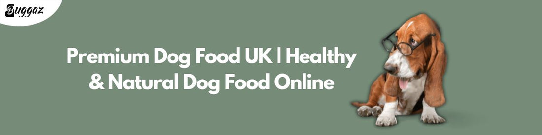 premium dog food in uk