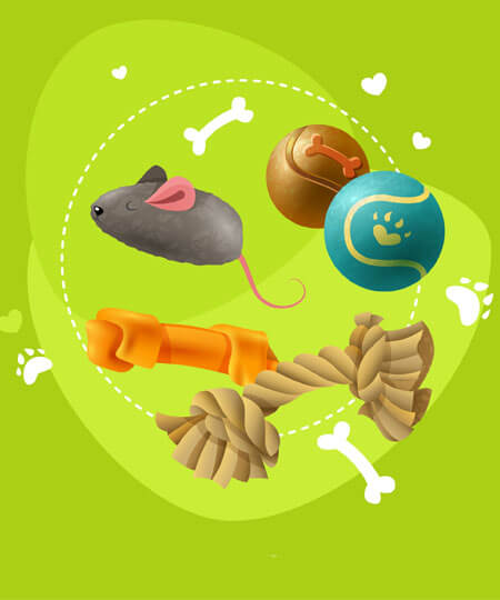 Toys and Sports Accessories
