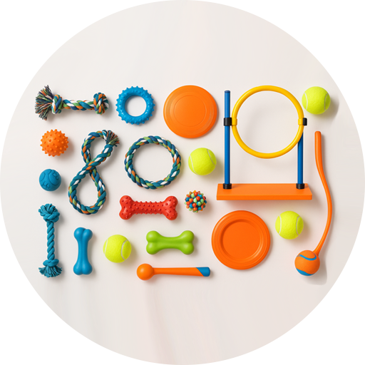 Toys and Sports Accessories