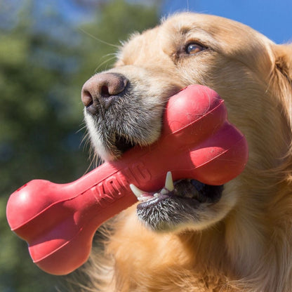 KONG Classic Goodie Bone Dog Toy