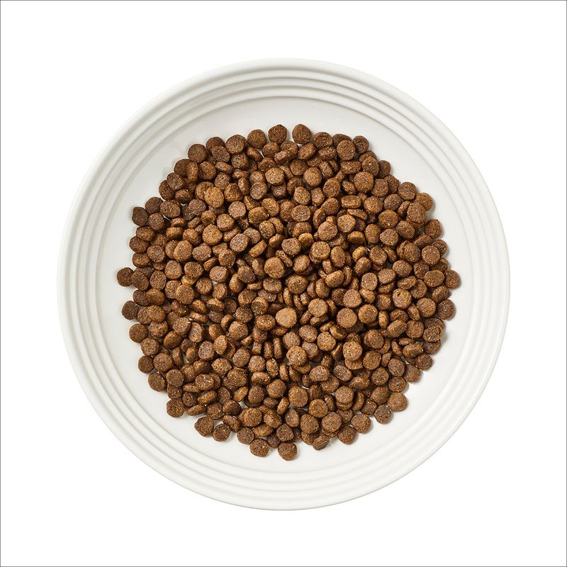 Encore natural cat meal