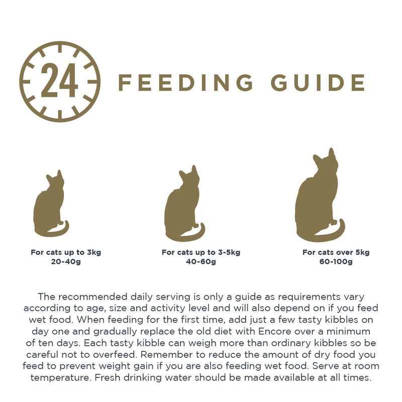 Encore cat chicken recipe