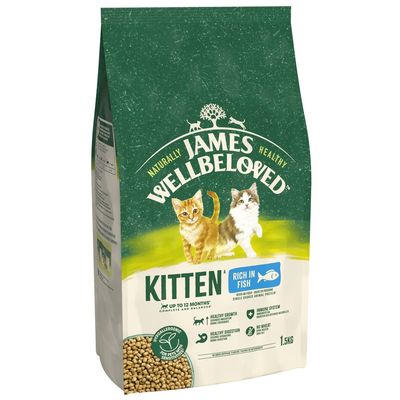 Kitten food with fish