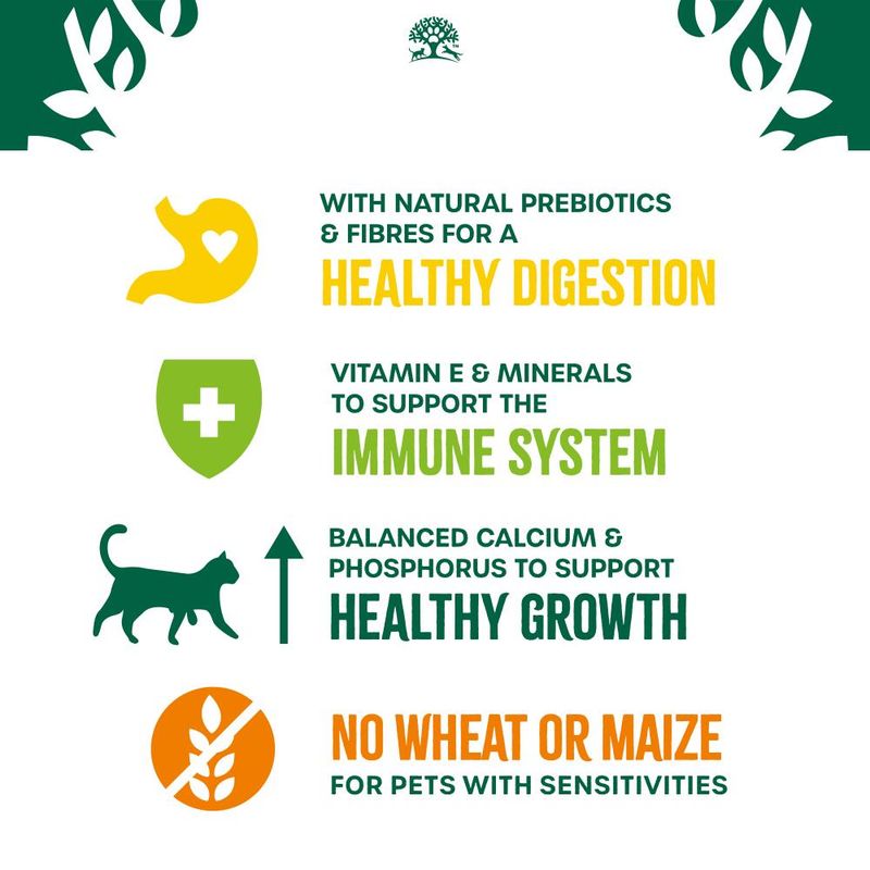 Dry food for sensitive kittens