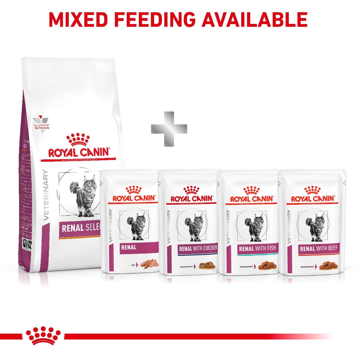 Royal Canin Renal Select Dry Food for Cats