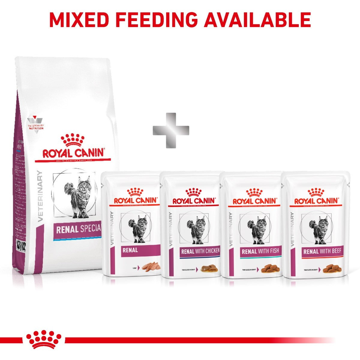 Royal Canin Renal Special Dry Food for Cats