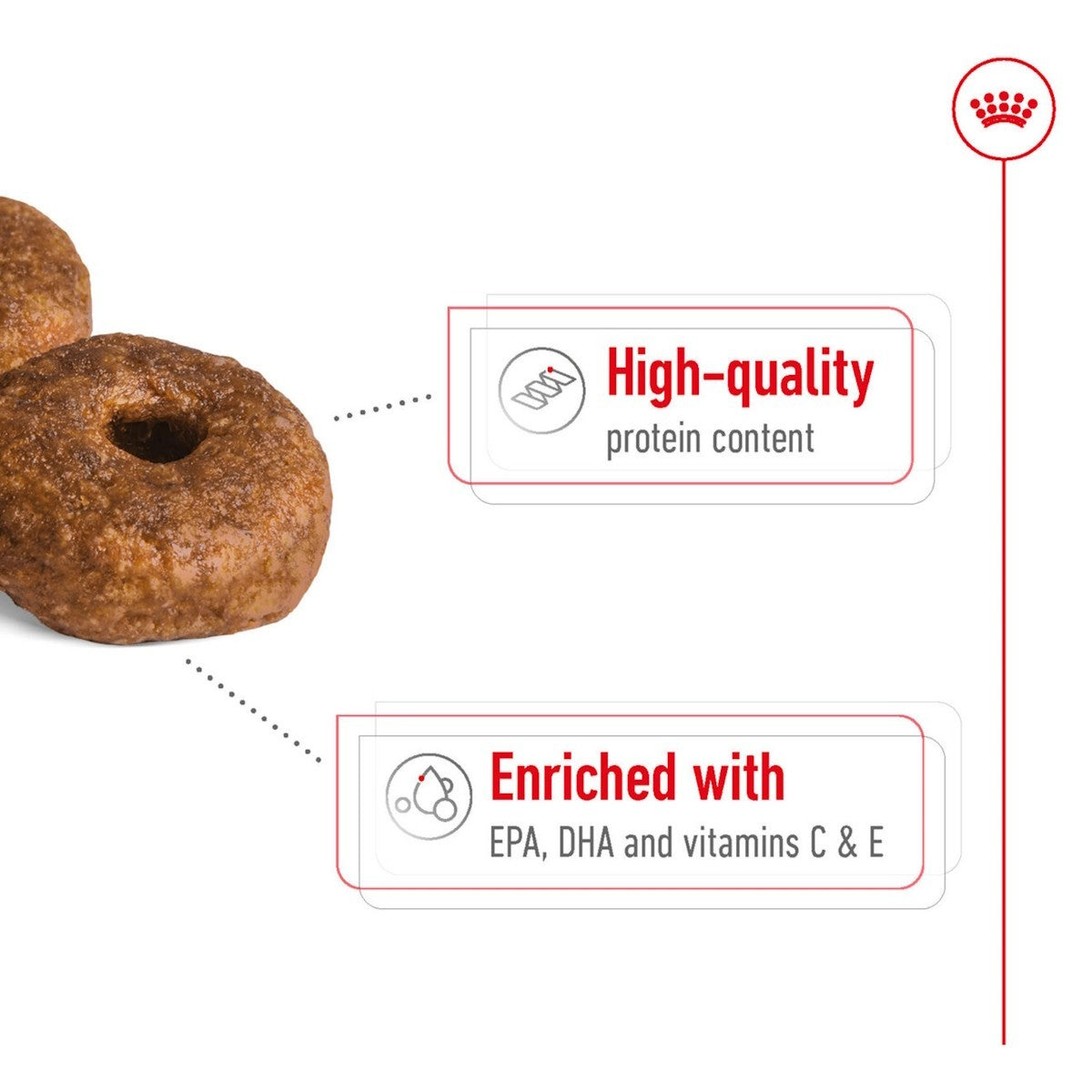 Royal Canin Medium Ageing 10+ Dry Dog Food