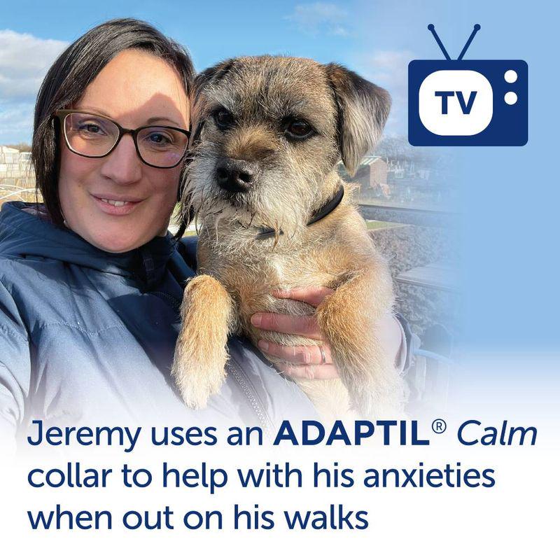 Adjustable calming dog collar