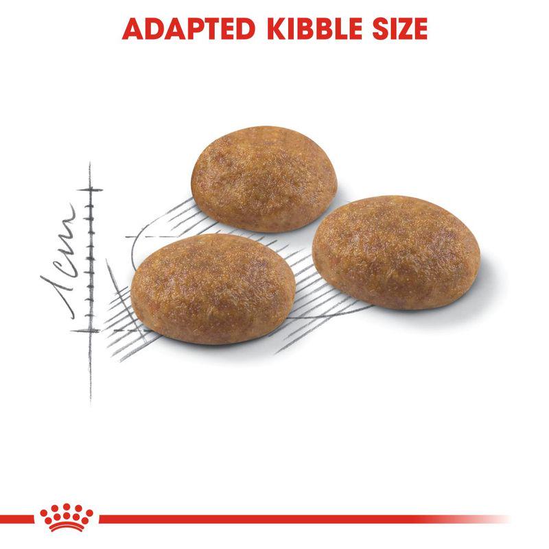 Adapted Kibble Size Cat Food