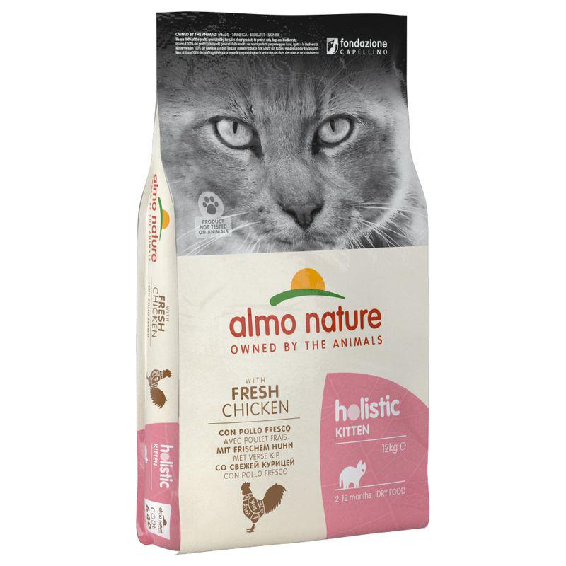 Holistic nutrition for cats