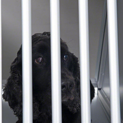 Crate for vehicle transport