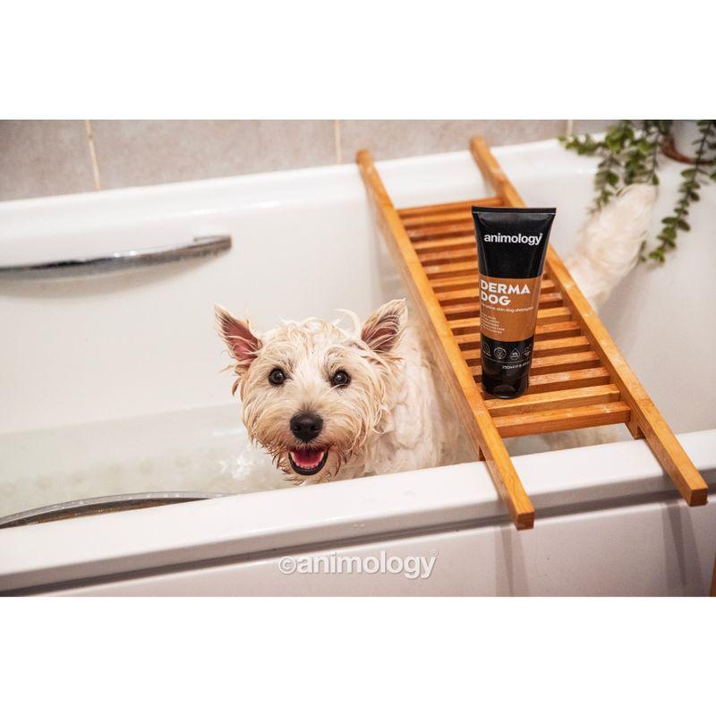 Fragrance-Free Dog Shampoo