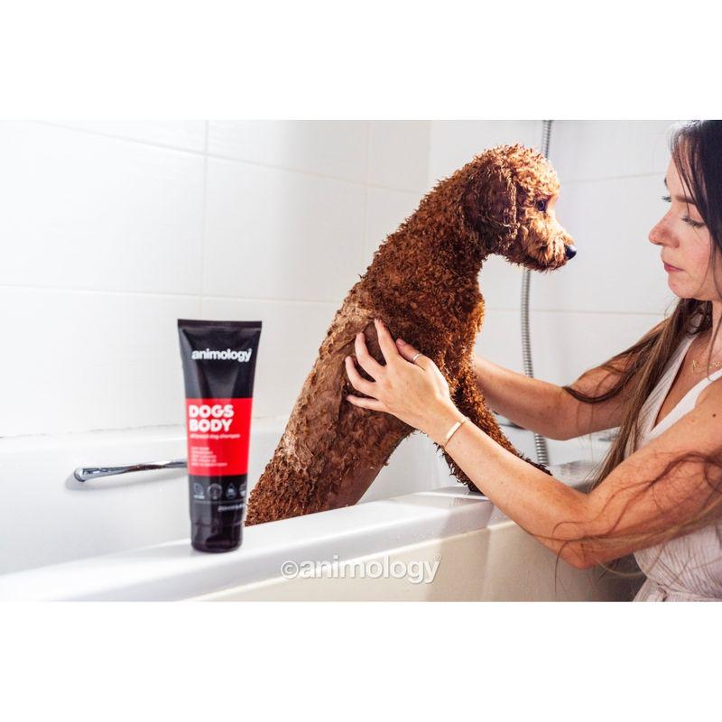 Pet grooming shampoo
