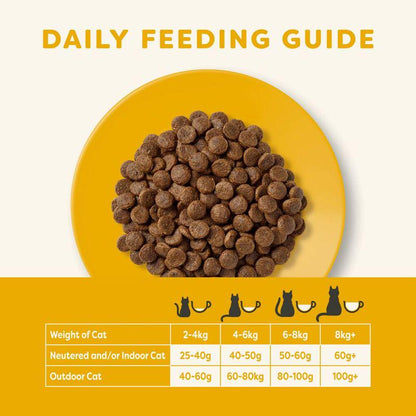 High-protein cat meal