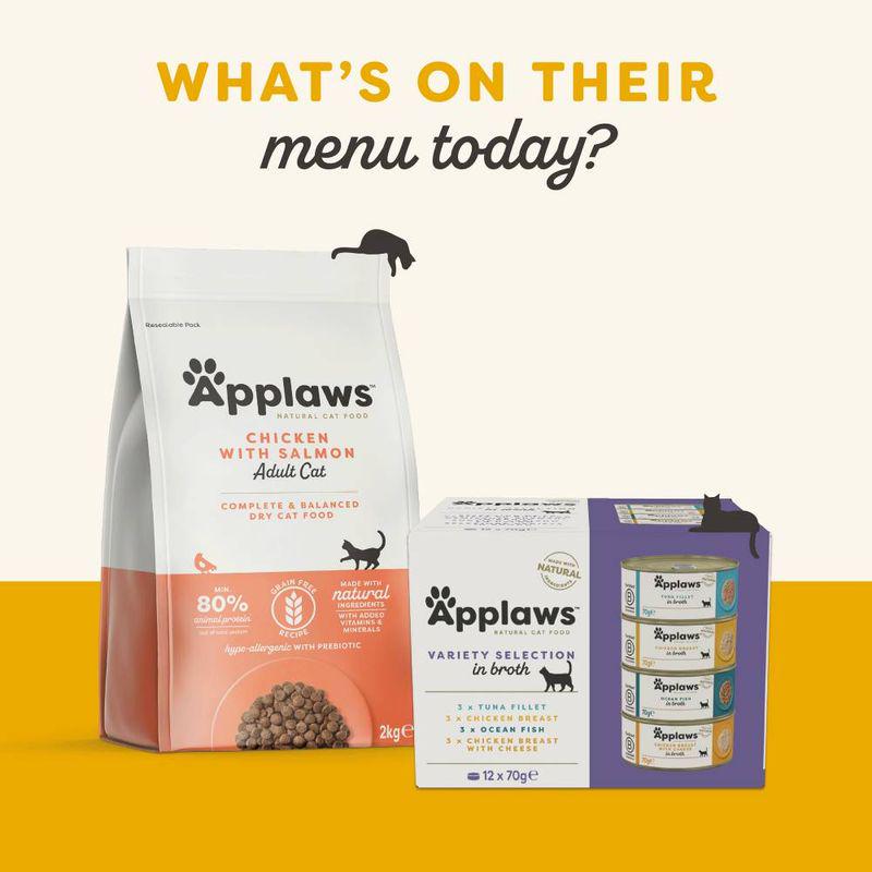 Adult cat poultry dish