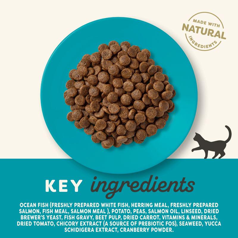 Grain free fish formula