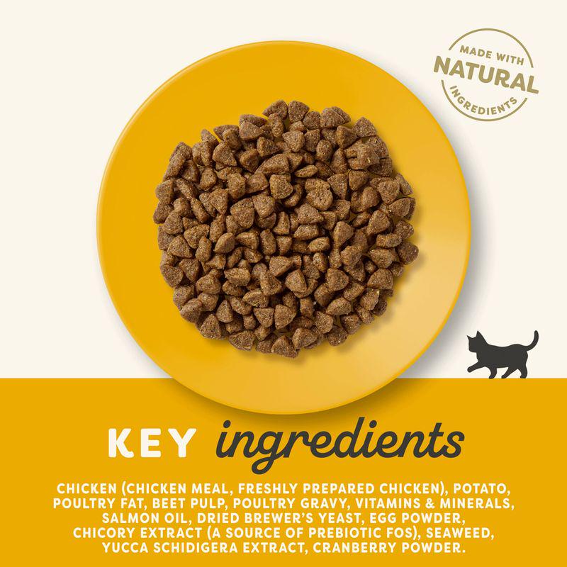 Applaws wet food for kittens