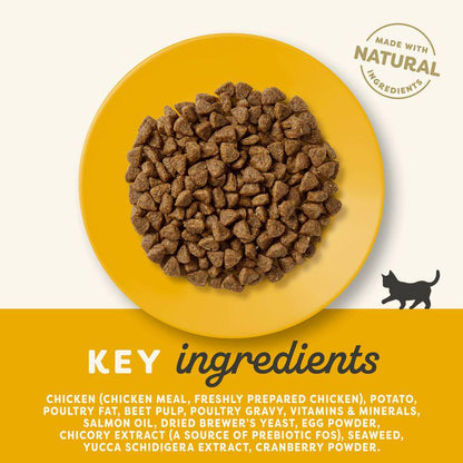 Applaws wet food for kittens