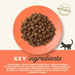 Load image into Gallery viewer, Applaws Chicken and Salmon Cat Food
