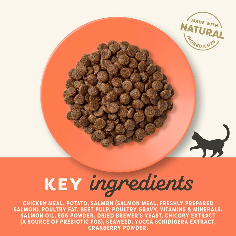 Applaws Chicken and Salmon Cat Food