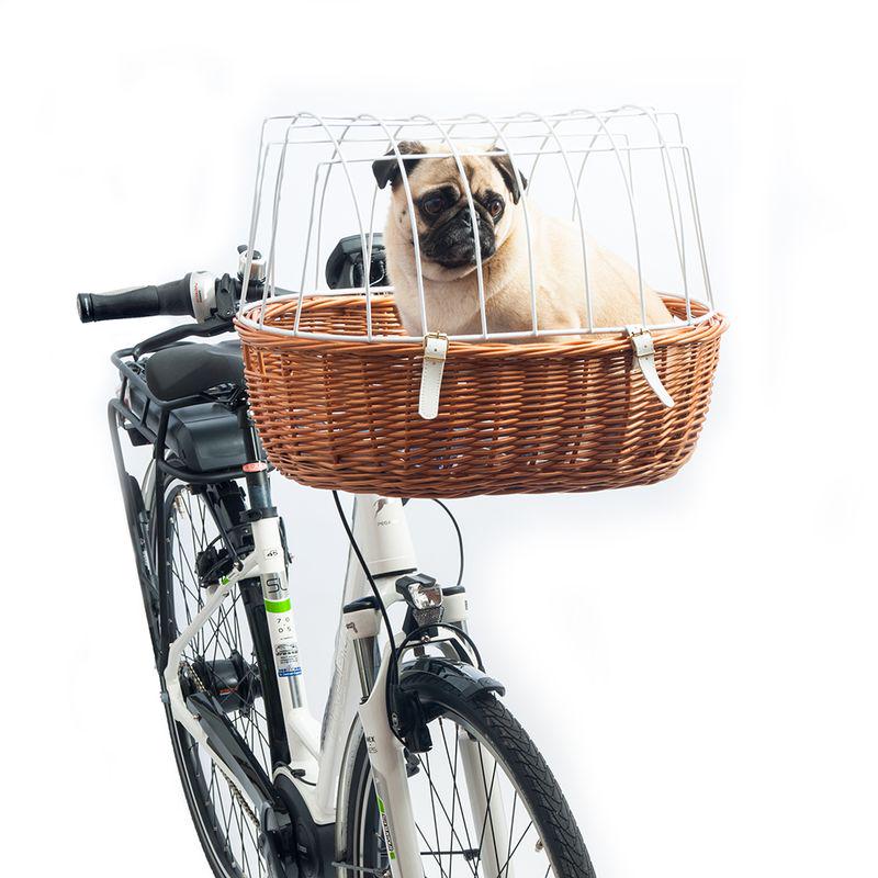 Safe dog bike transport