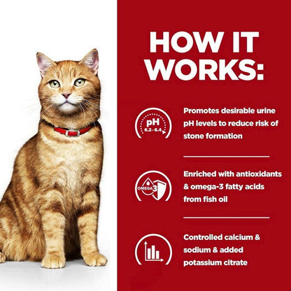 Hill’s c/d food for preventing urinary 