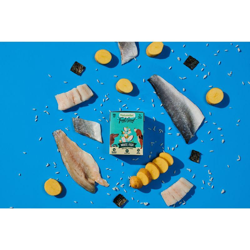 white fish dog meal