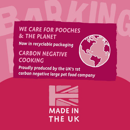 Easy-digest chicken kibble