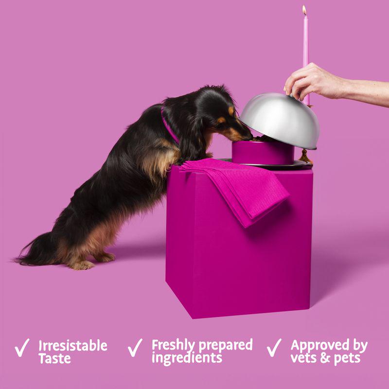 Barking Heads All Hounder Fuss Best Dog Food