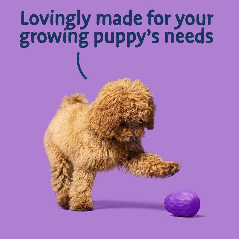 All-breed puppy turkey food