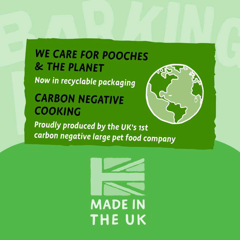 Complete lamb dog food