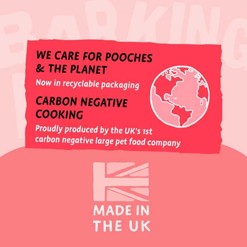 All Hounder dog hair food