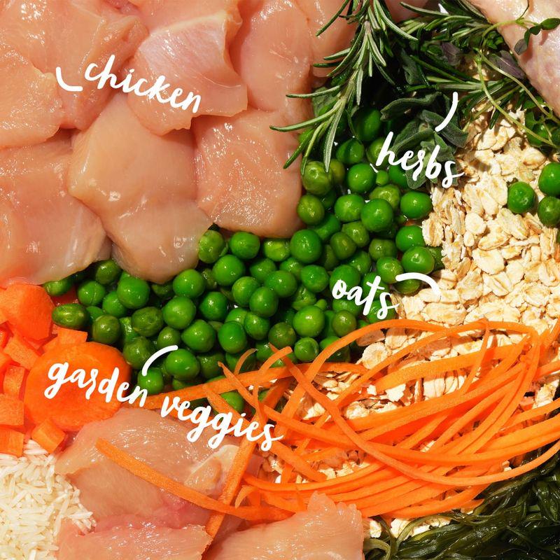 Gentle chicken dog meal