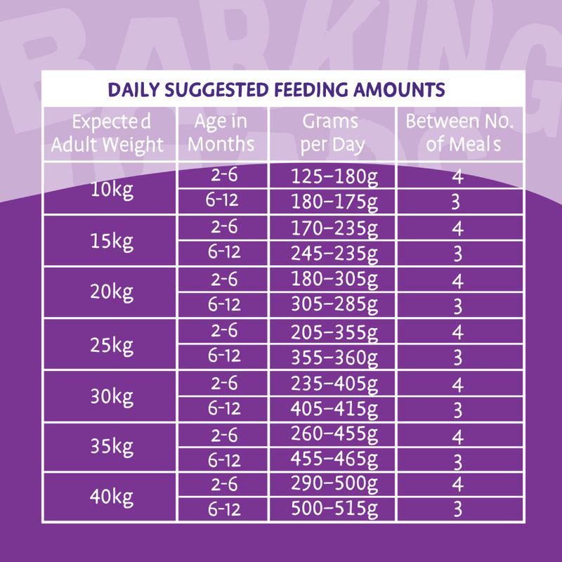 Complete puppy food with turkey