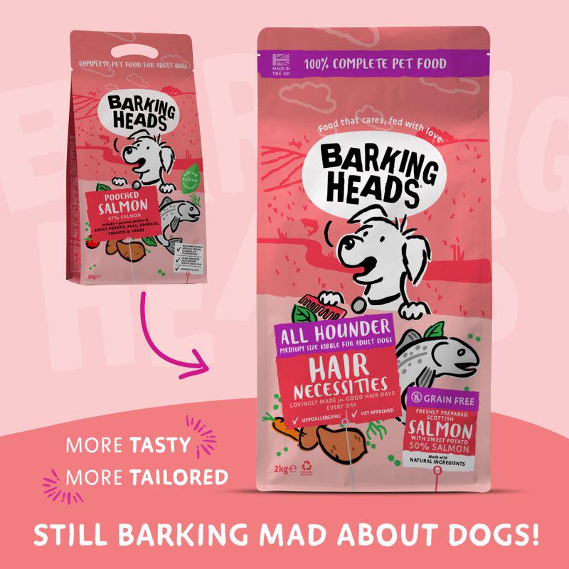 Hair care salmon dog food