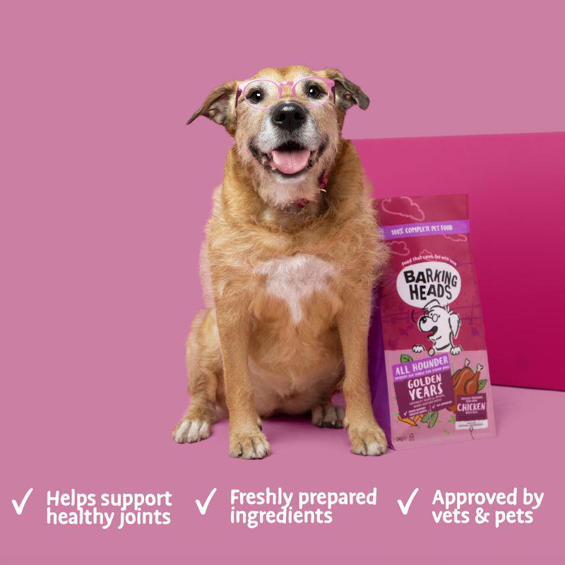 All Hounder senior mix