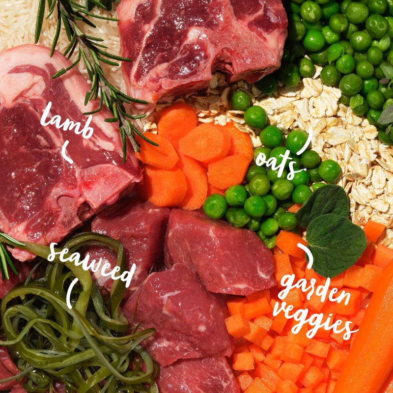 Adult dog lamb formula