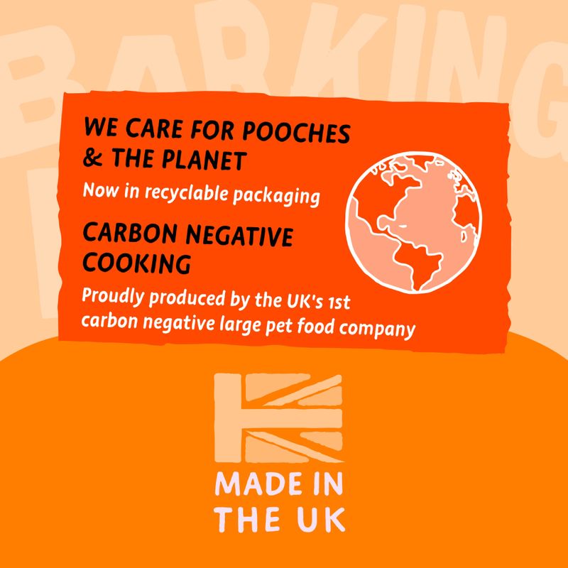 Natural food for large dogs