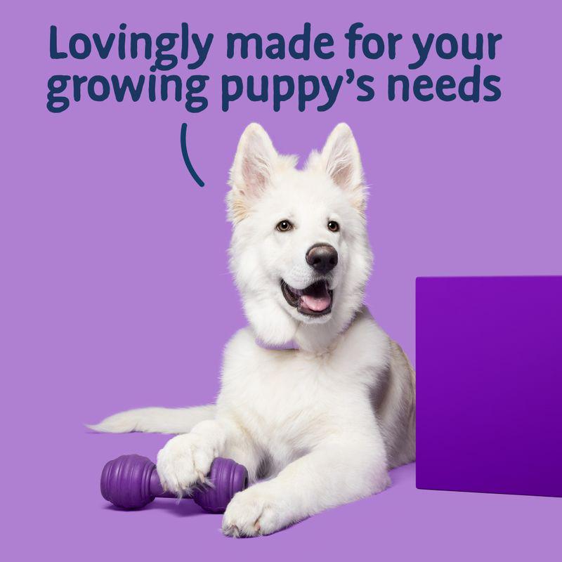 Big Foot young dog food