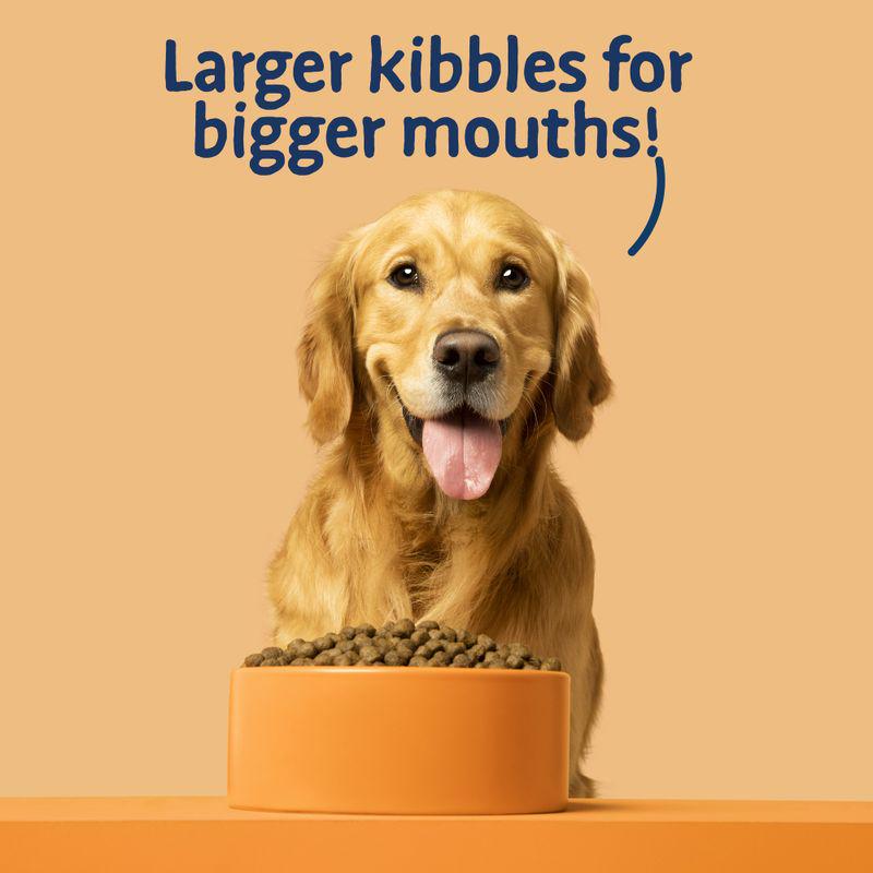 Big Foot Bowl Lickin' kibble