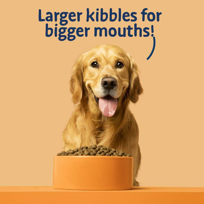 Big Foot Bowl Lickin' kibble