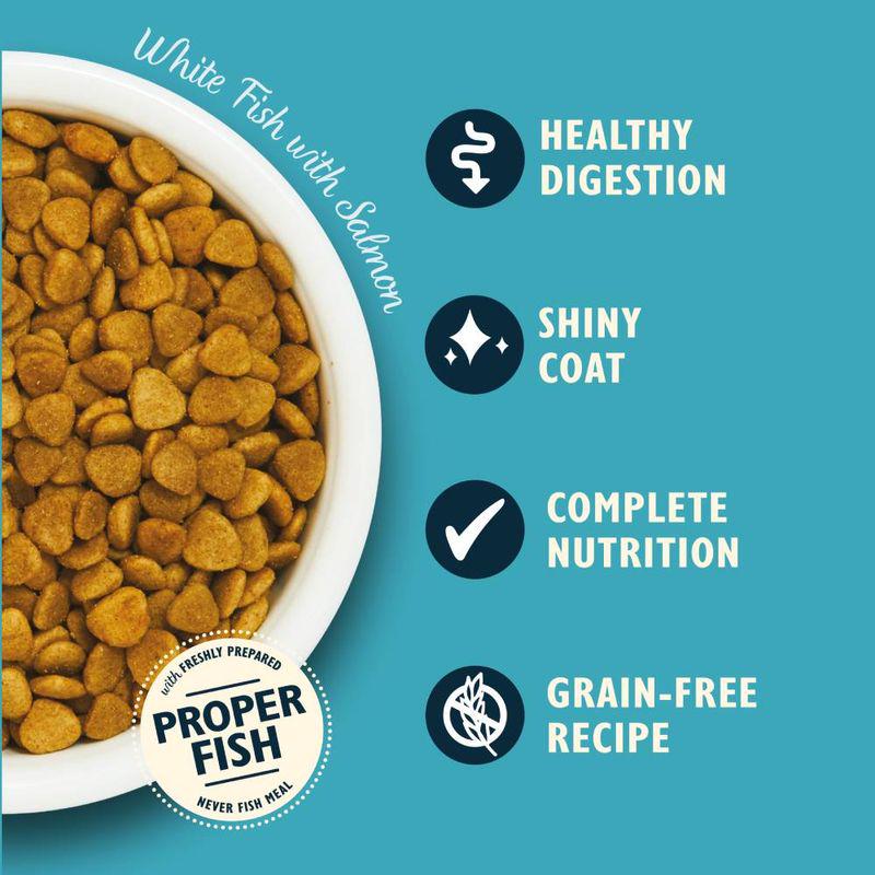 Lilys fish recipe cat kibble