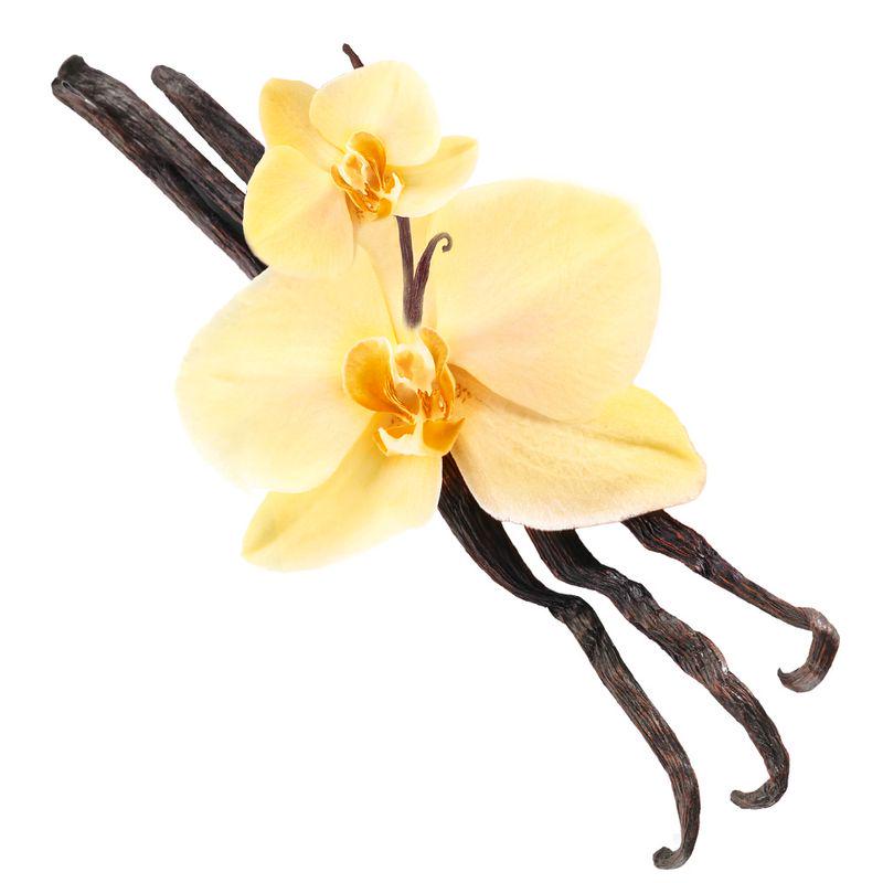 Exotic vanilla scent