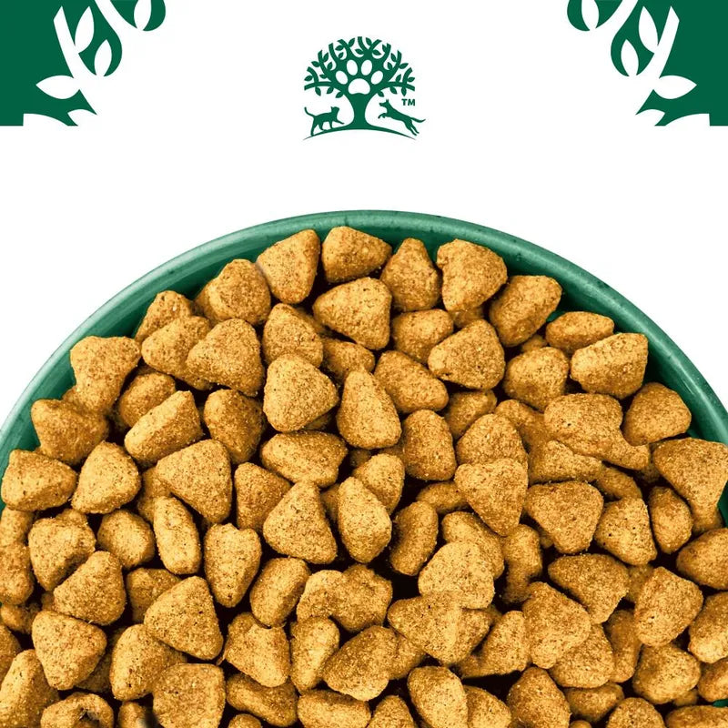 Bowl of dog food with a green bowl and visible brand logo on a white background
