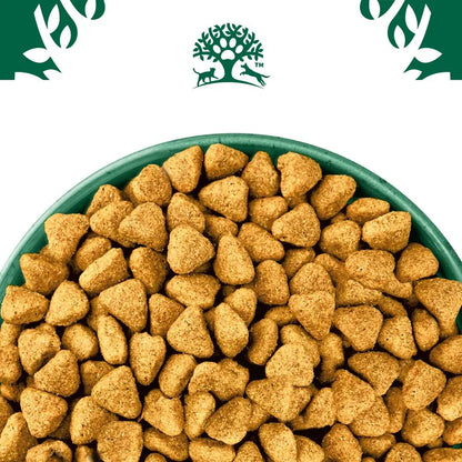 Bowl of dog food with a green bowl and visible brand logo on a white background
