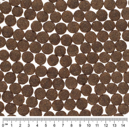 salmon potato dog mix