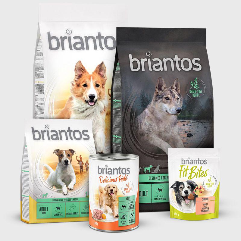 briantos wet mix pack