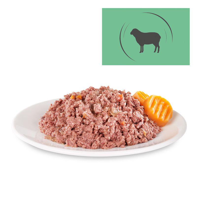 dog food sample pack